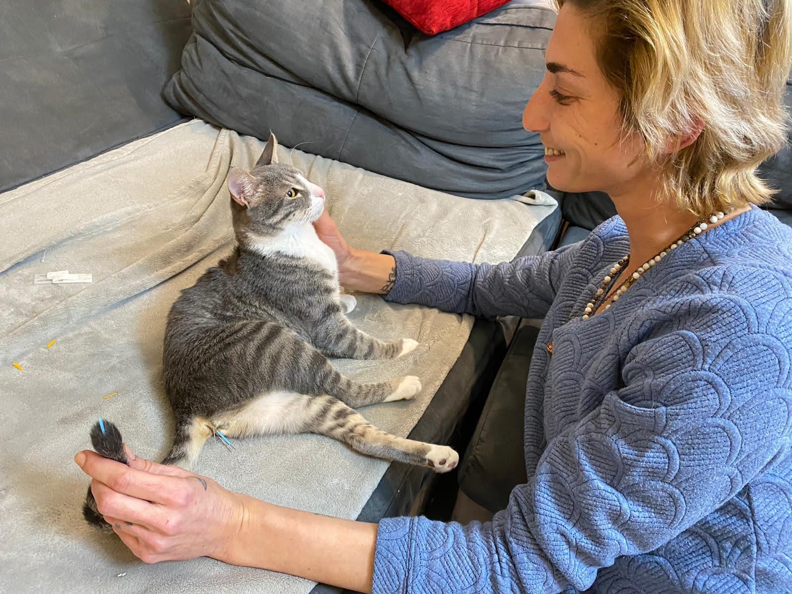 אנה ברנשטיין בזמן טיפול בחתול